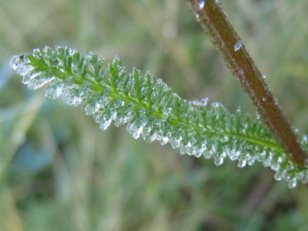 Autors: no www.photo2.poga.lv