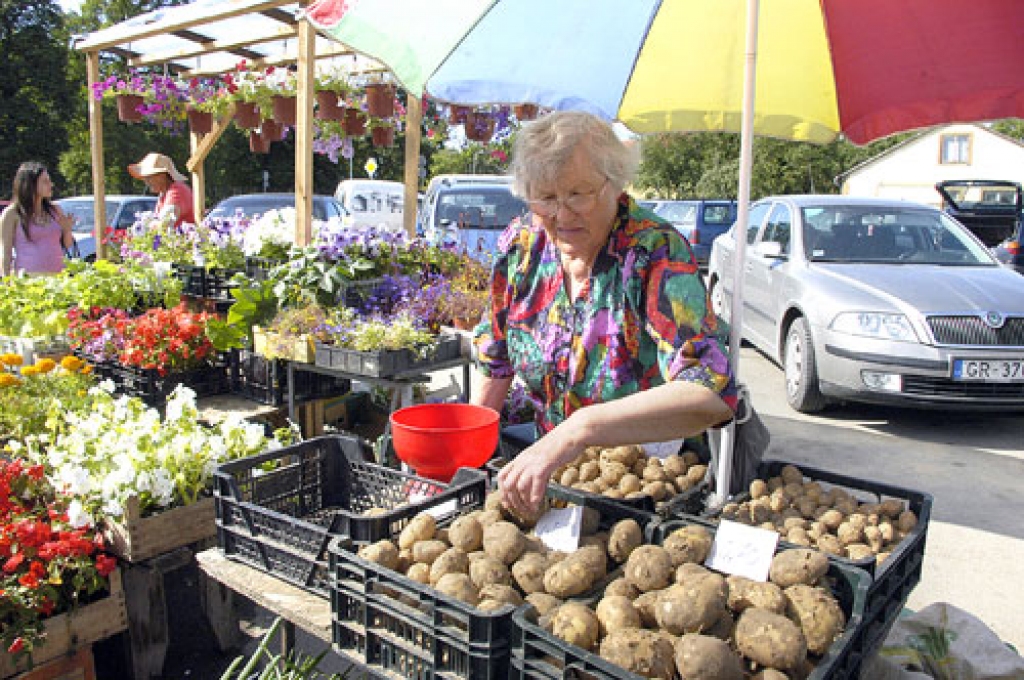 Jaunos kartupeļus, kas vesti no Brunavas pagasta saimniecības, jau otro dienu tirgo Veronika Šlāgane.
Autors: Ivars Bogdanovs