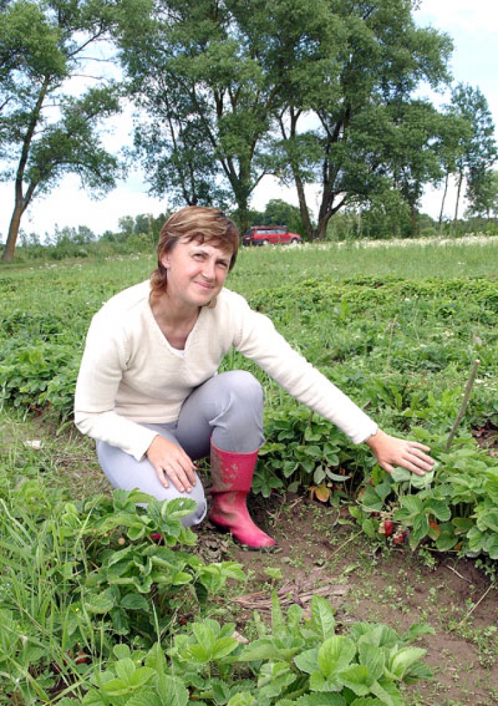 Valda Laugale ‘Suiteņu’ dobē.