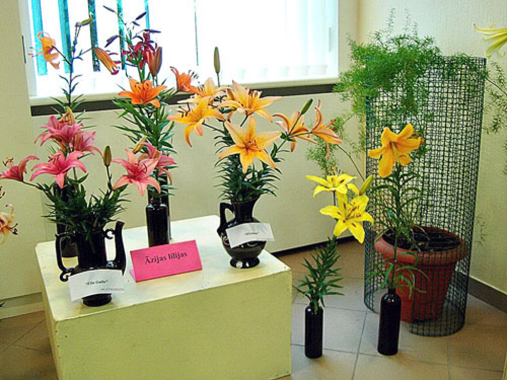 Foto no www.vecumnieki.lv.