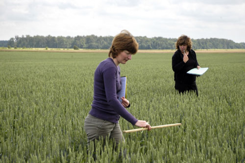 Baušķeniecei Ritai Polei (priekšplānā), nokārtojot pārbaudījumu, sāksies patstāvīgas lauku inspektores darba gaitas. 