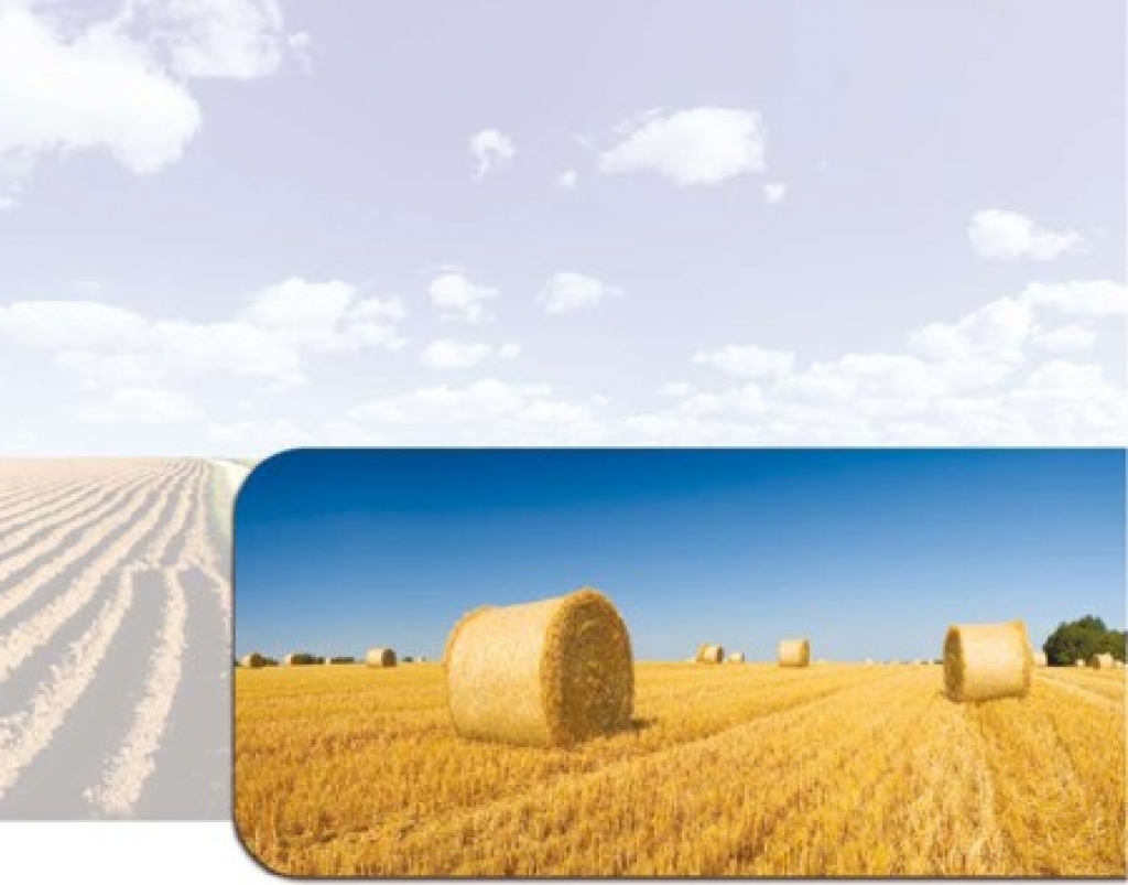 Autors: no www.zm.gov.lv