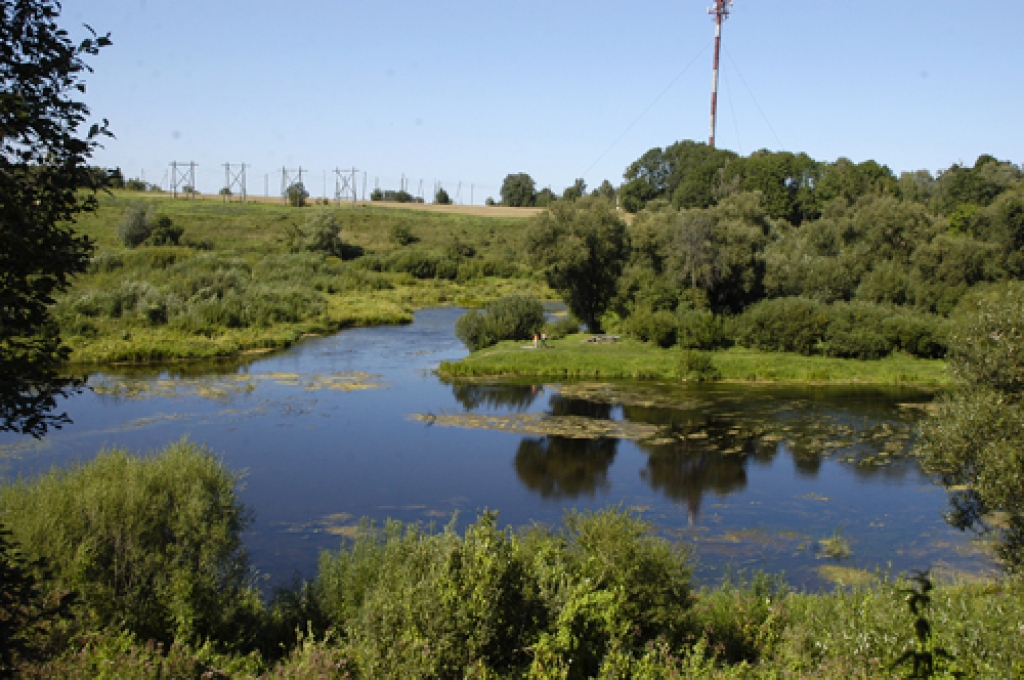Projekta «Ilgtspējīga dabas resursu saglabāšana Zemgalē» ieviešana ir sākusies, tas ietver arī Bauskas dabas parku, tajā skaitā Mūsas ieleju.
Autors: Ivars Bogdanovs