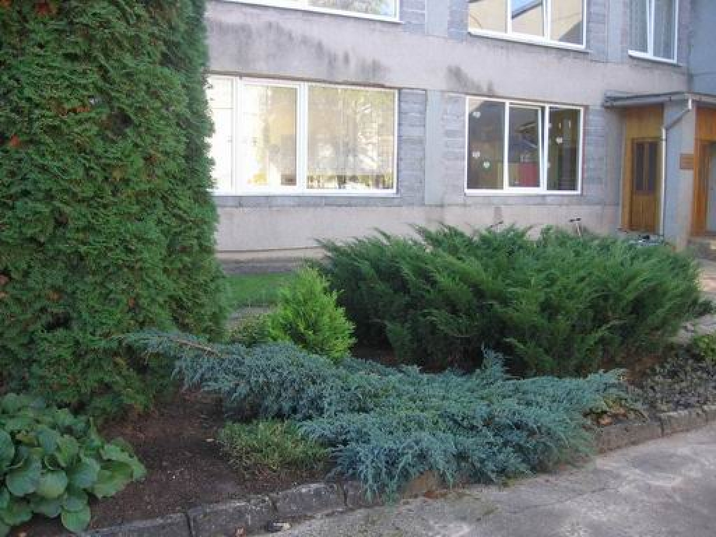 Autors: www.dartija.lv