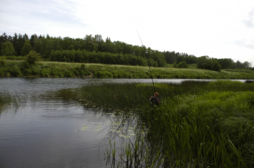 Mēmele
Autors: No «Bauskas Dzīves» arhīva.