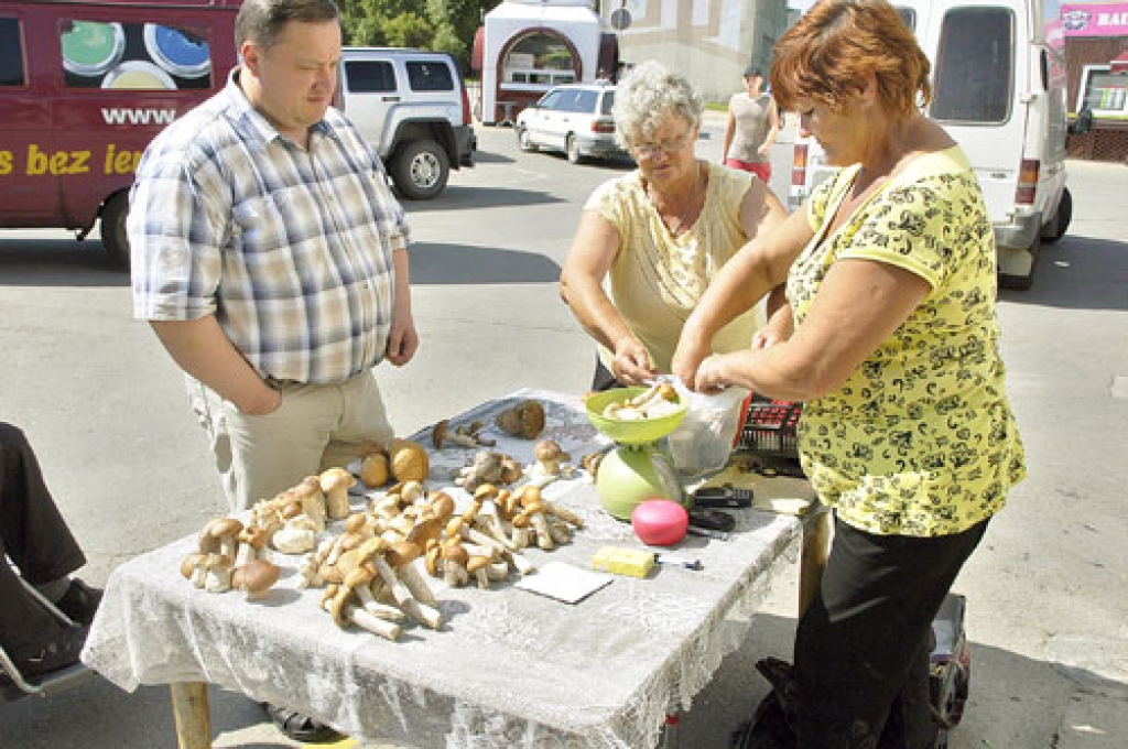 Sarmis Macpans gardas mērces pagatavošanai no Ritas Kaladinskas un Sarmītes Norvaišas Bauzes tirgū iegādājies kilogramu rīta agrumā lasītu beku. 
Autors: Ivars Bogdanovs