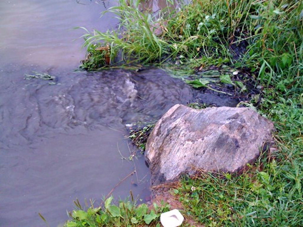 Autors: Aculiecinieks