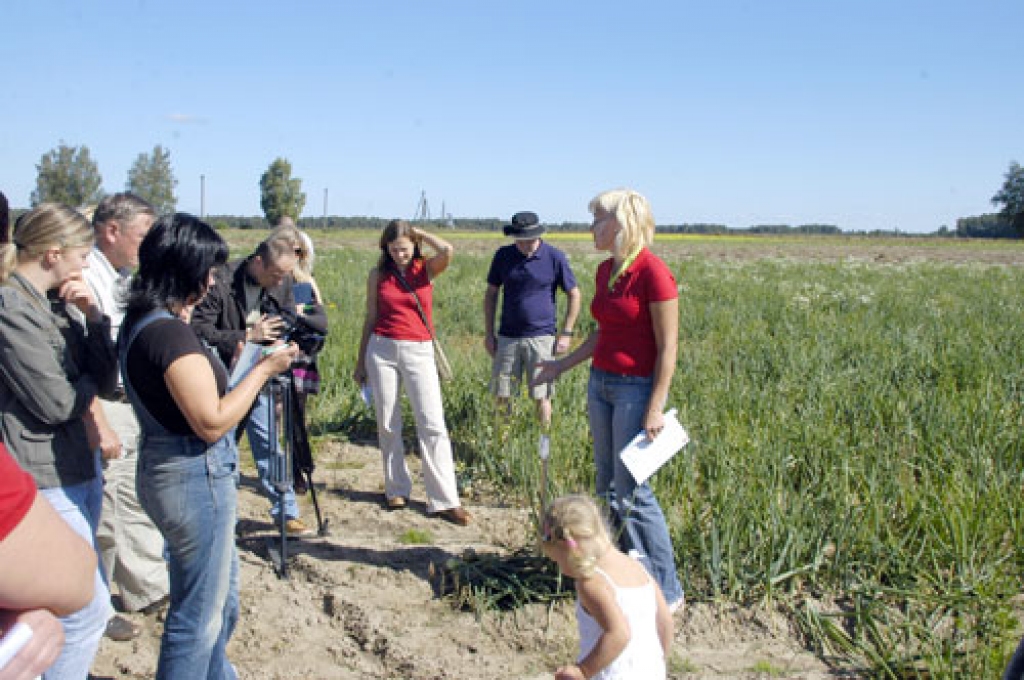 Ar sīpoliem šajā vasarā lauksaimniecības pakalpojumu kooperatīvajā sabiedrībā «Kalnakrogs agro» ir bijuši plašākie izmēģinājumi, un par tiem izvērtās lauku dienas dalībnieku detalizētas sarunas. 