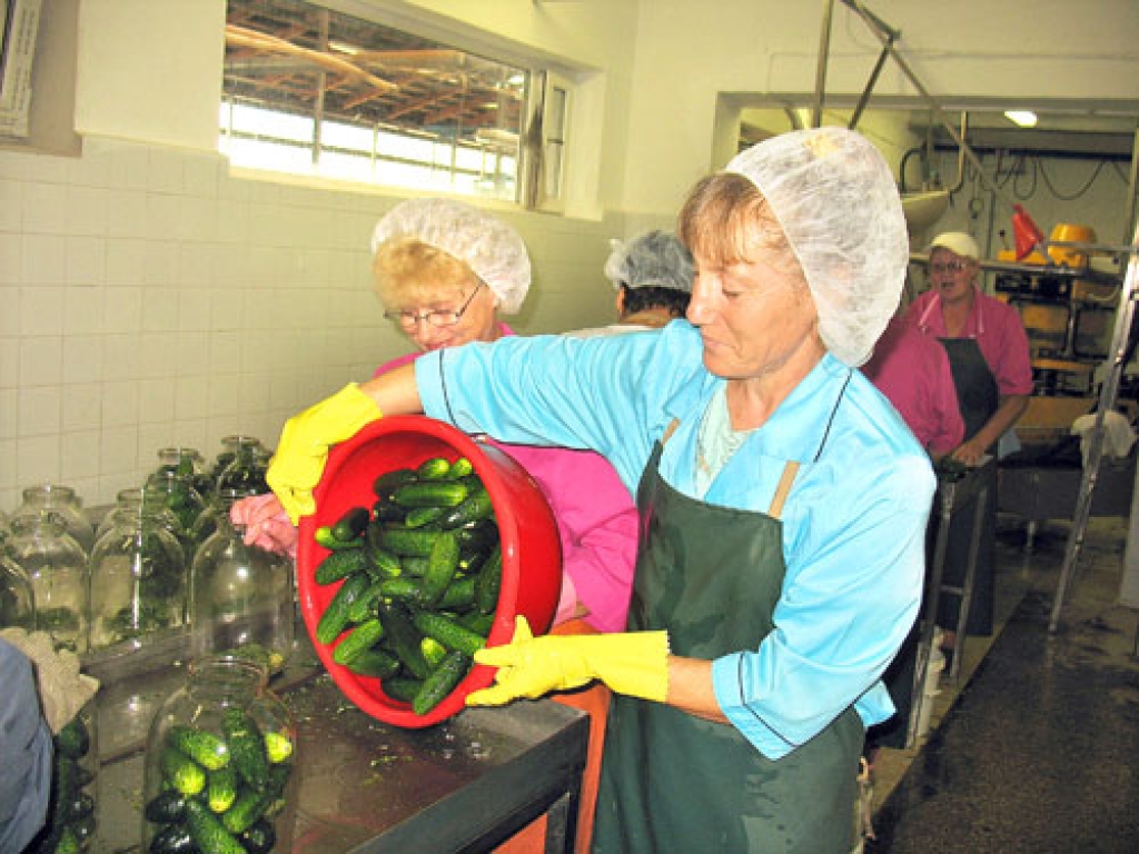 Marinētie gurķi ir tikai viens SIA «Kronis» produkts, kas saņēmis Zaļās karotītes sertifikātu. Pašlaik uzņēmumā gatavo krājumus ziemai. «Gurķi ir labi, ceru, ka pircējiem patiks,» apliecina strādniece Natālija Sokolova.