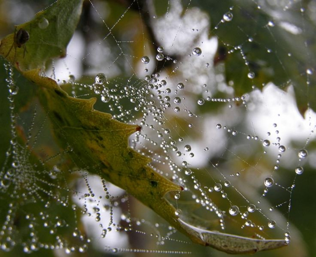 Fotoattēlam ilustratīva nozīme.
Autors: www.poga.lv