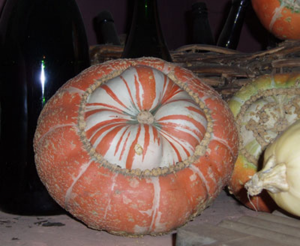 Ķirbji ir skaisti un arī veselīgi.
Autors: no www.blogs.gatavosim.lv