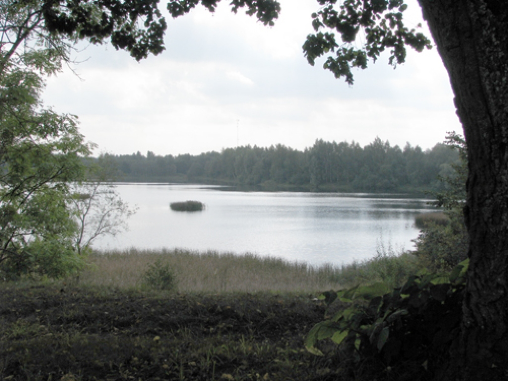 Skats uz Vecumnieku ezeru. Divas mākslīgās ūdenstilpes novada centrā ir iedzīvotāju iemīļotas atpūtas zonas. Krastu labiekārtošanā ir iesaistījušies skolēni, kuru izstrādātos projektus finansiāli atbalstīja pašvaldība.