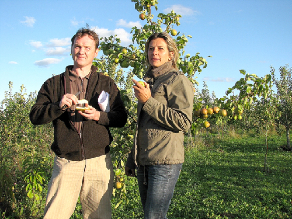 Marutas un Māra Kaminsku gādīgajā uzraudzībā rūpīgi koptu augļu koku rindas pamazām aizpilda agrāk klaju lauku Vallē. 