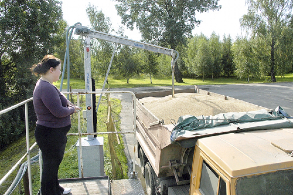 Zane Kuka, LRS «Mūsa» laborante, graudu paraugus kvalitātes un slimību noteikšanai ņem no katras pārstrādes uzņēmumam atvestās kravas.