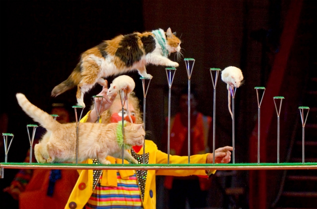 Fotoattēlam ilustratīva nozīme.
Autors: www.piedalies.lv