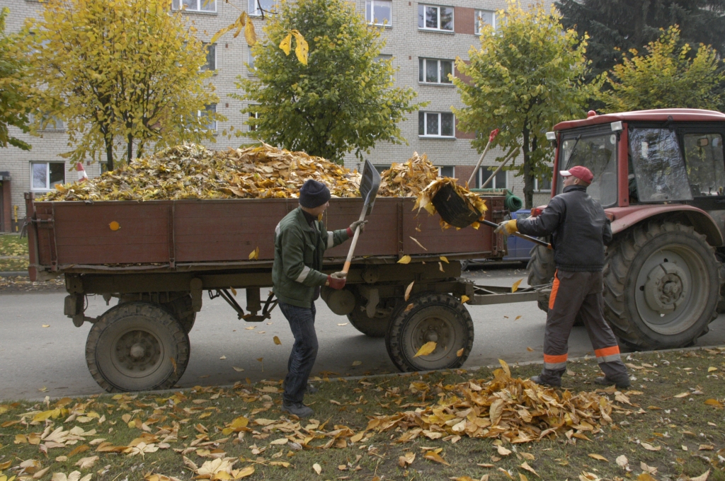 Autors: No «Bauskas Dzīves» arhīva.