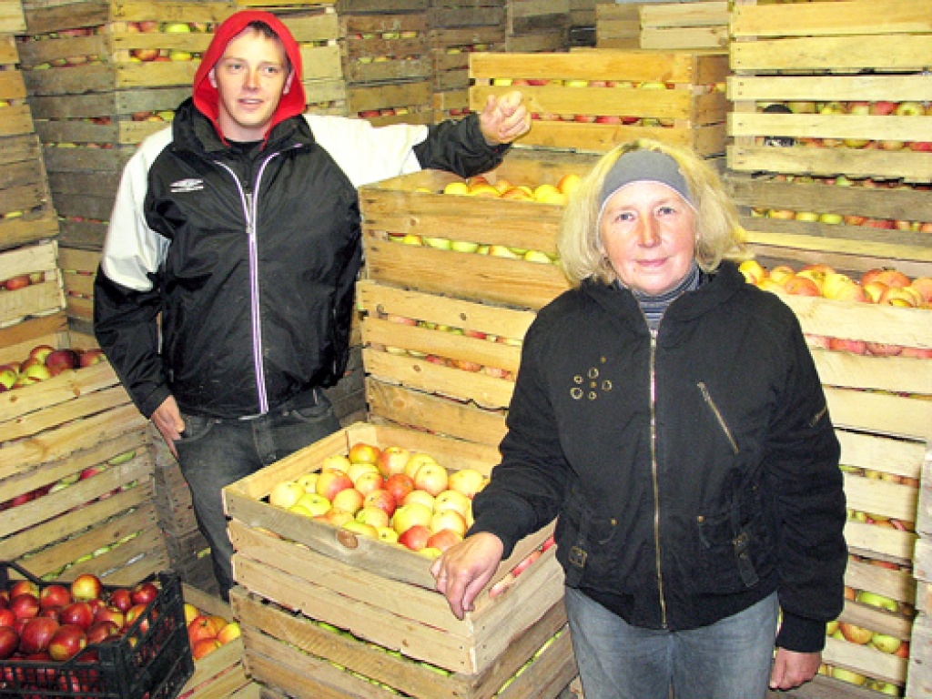 Fišeru ģimenei – Smaidai, dēlam Kristapam (attēlā), tētim Vladimiram – rudens ir saspringtākais periods, jānovāc un jāsaliek glabātavās ābolu un bumbieru raža.
Autors: Juris Iļņickis