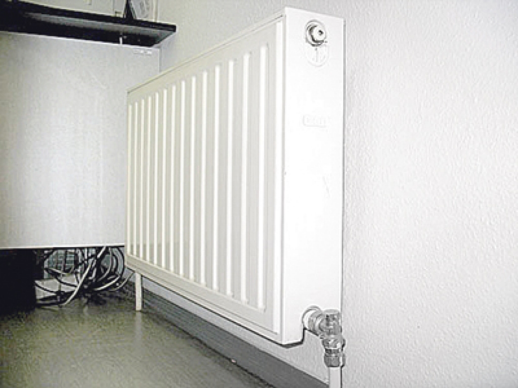 Autors: no «Bauskas Dzīves» arhīva