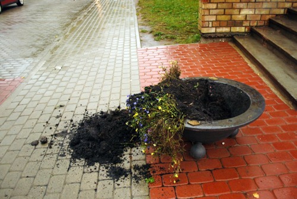 Plūdoņa ielā, pie kafejnīcas «Vecpilsēta», apgāzts no smaga metāla veidots puķu pods.
Autors: Uldis Varnevičs