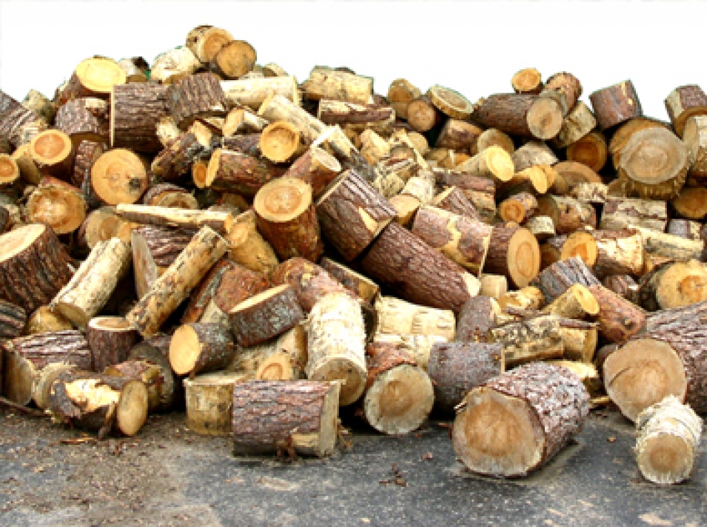 Autors: no www.lamekoimpex.lv