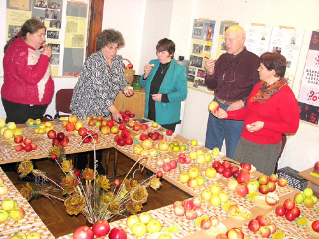 Jānogaršo pa šķēlītei no katra ābola. Tas nav viegls uzdevums bārbeliešiem Mudītei Dievaitei (no kreisās), Sandrai Dreijerei, Brigitai Krauzei, Jānim Tabakam un Aigai Saldābolai. Attēlā redzama tikai daļa no vakar Bārbelē izstādē izliktajiem āboliem.