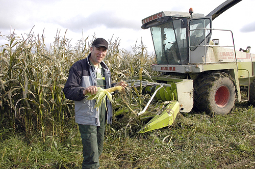 Jānis Straģis vērtē, ka aprīļa pēdējās dienās iesētā kukurūza Brunavas pagasta zemnieku saimniecībā «Krišjāņi» šogad izaugusi varena. 