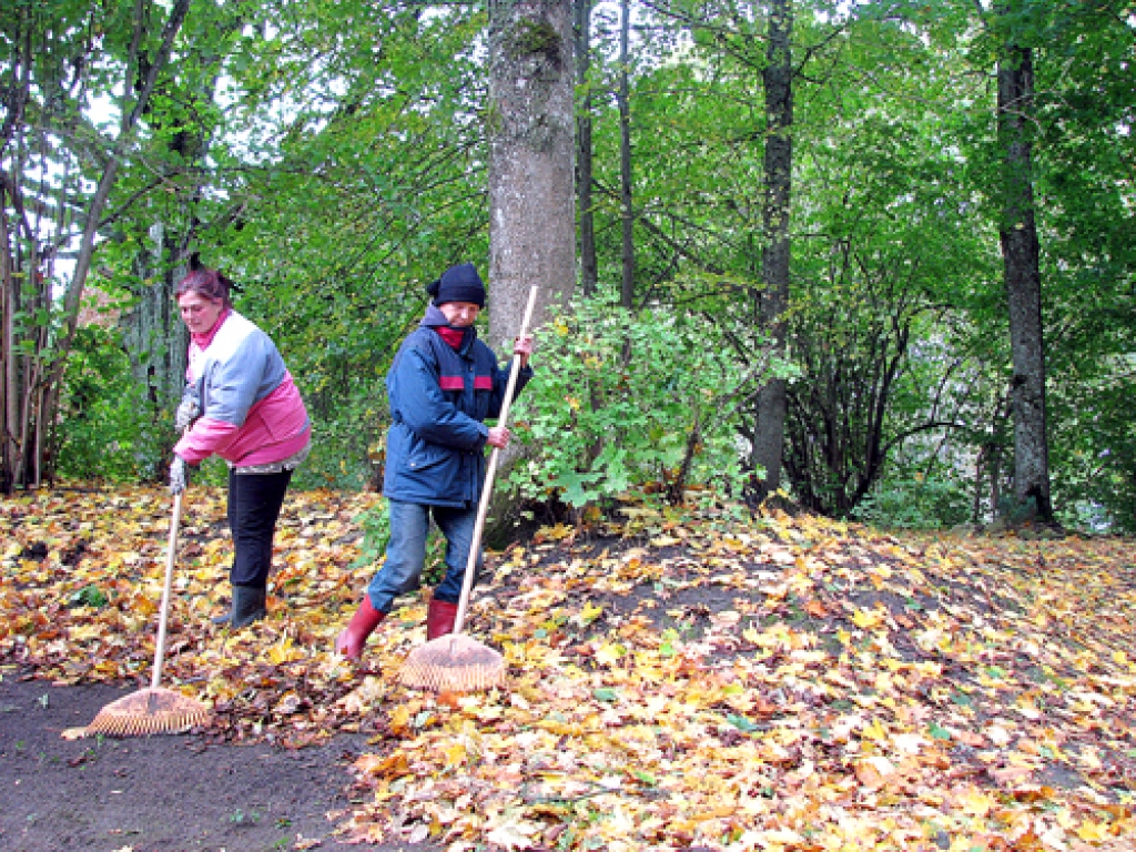 Nodarbinātības programmas noteikumi: darbdiena ilgst no astoņiem rītā līdz pieciem pēcpusdienā. Vecsaules parkā 5. oktobrī strādāja vairākas sievietes, žogu laboja vīri.
