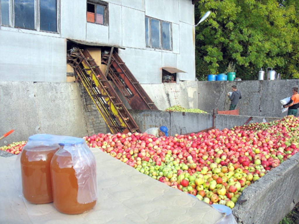 Apmaiņā pret āboliem iespējams saņemt trīslitru burkas ar sulu. 