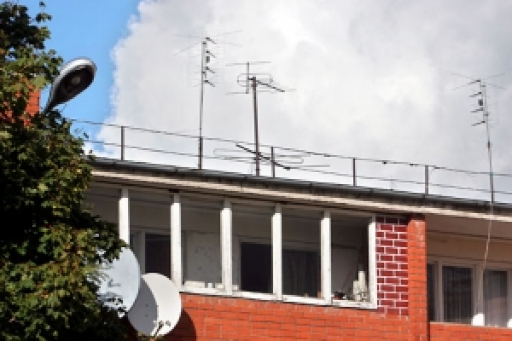 Fotoattēlam ilustratīva nozīme.
Autors: www.zz.lv