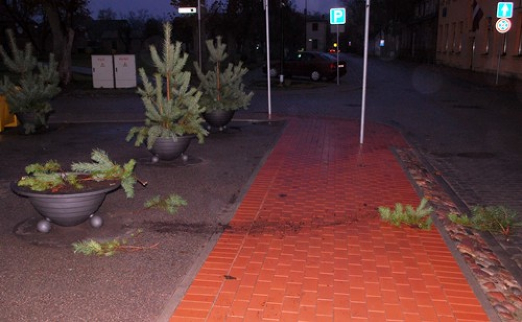 Lāčplēša dienas, 11. novembra, rītā Plūdoņa ielas iedzīvotāji varēja vērot kārtējo huligānismu – bija salauztas divas eglītes, kuras nesen iestādītas podos, kur vasarā ziedēja puķes.
Autors: Uldis Varnevičs