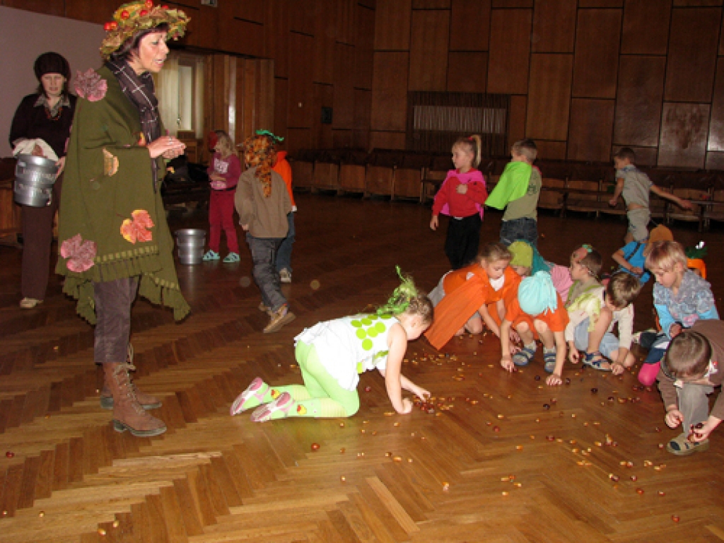Īslīces vidusskolas pirmsskolas grupas bērni Mārtiņdienas sarīkojumā šķiro kastaņus.
Autors: Juris Iļņickis