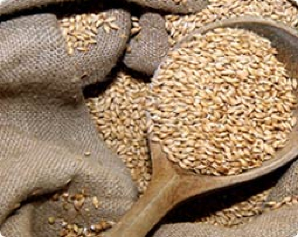 Autors: www.politika.lv