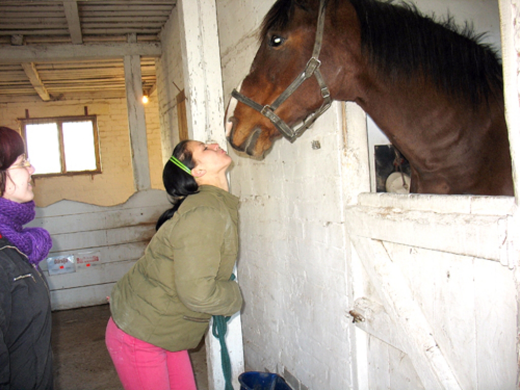 Derbijs ir Latvijas šķirnes universāls zirgs, un Inga Ruble īsā laikā ar to guvusi sapratni. Derbija buča netiek vis katram.