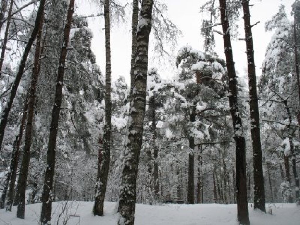 Fotoattēlam ilustratīva nozīme.
Autors: www.blogspot.com