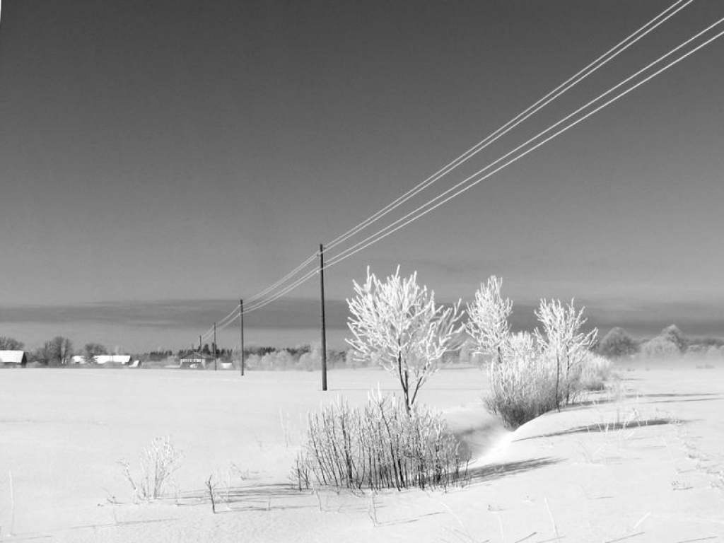 Fotoattēlam ilustratīva nozīme.
Autors: www.poga.lv