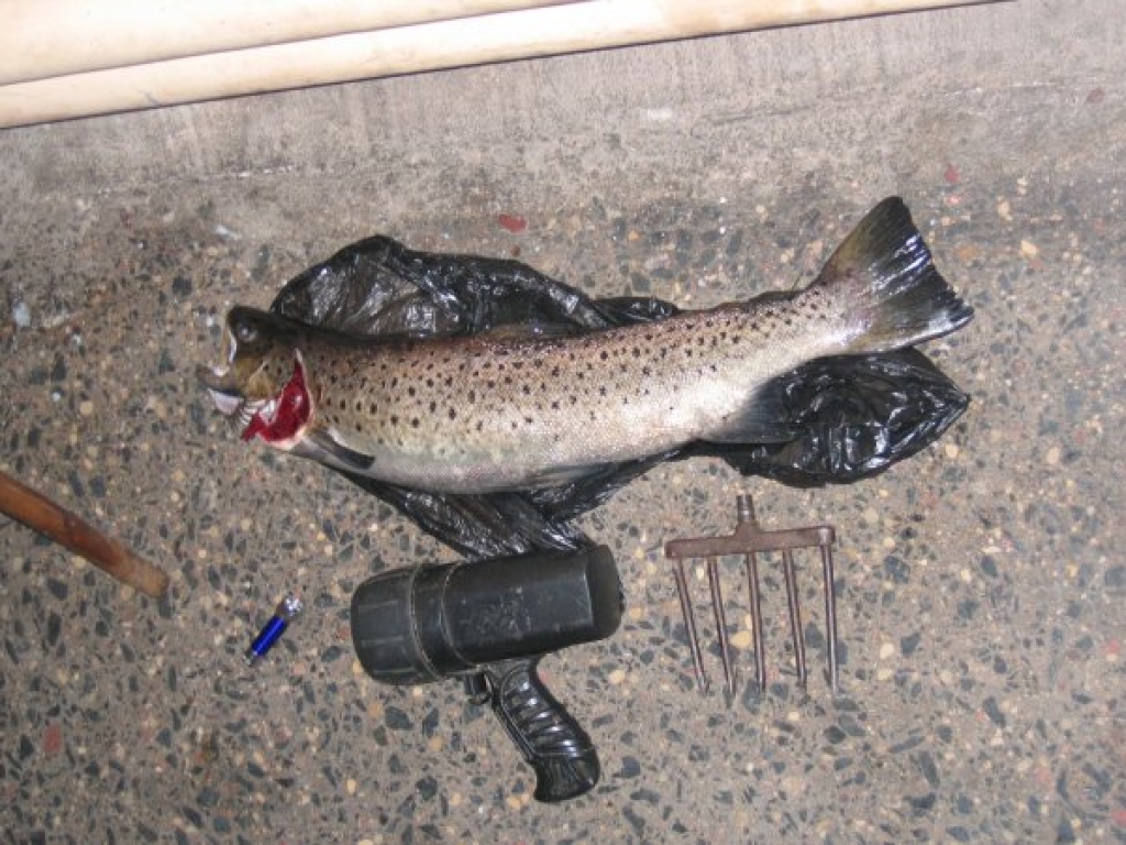 Fotoattēlam ilustratīva nozīme.
Autors: www.gnp.gov.lv