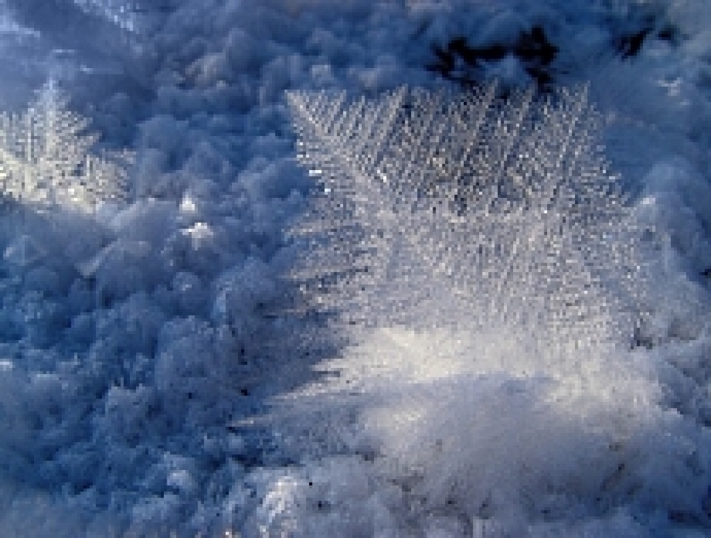 Fotoattēlam ilustratīva nozīme.