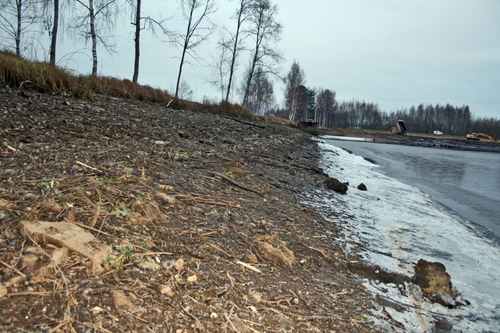 Vecumnieku vecajā ezerā ūdens līmenis, atverot slūžas, decembrī nokrities par diviem metriem, gājušas bojā arī zivis.
Autors: Artūrs Enkurs