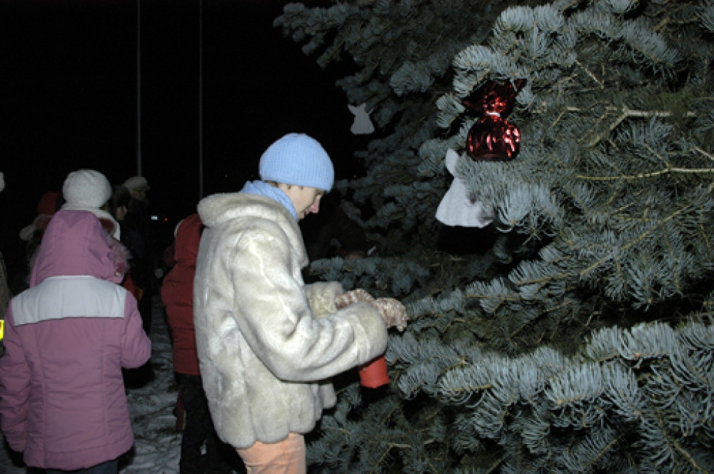 Aptuveni trīsdesmit drosmīgu codiešu aukstajā un tumšajā otrdienas pievakarē bija sanākuši pie pagasta pārvaldes ēkas, lai visi kopā svinētu gada gaišāko svētku tuvošanos ar egles iedegšanu.
Autors: Ivars Bogdanovs