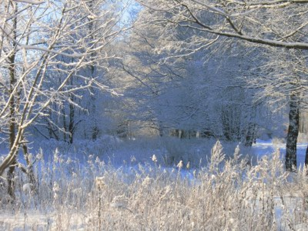 Fotoattēlam ilustratīva nozīme.
Autors: 1.bp.blogspot.com