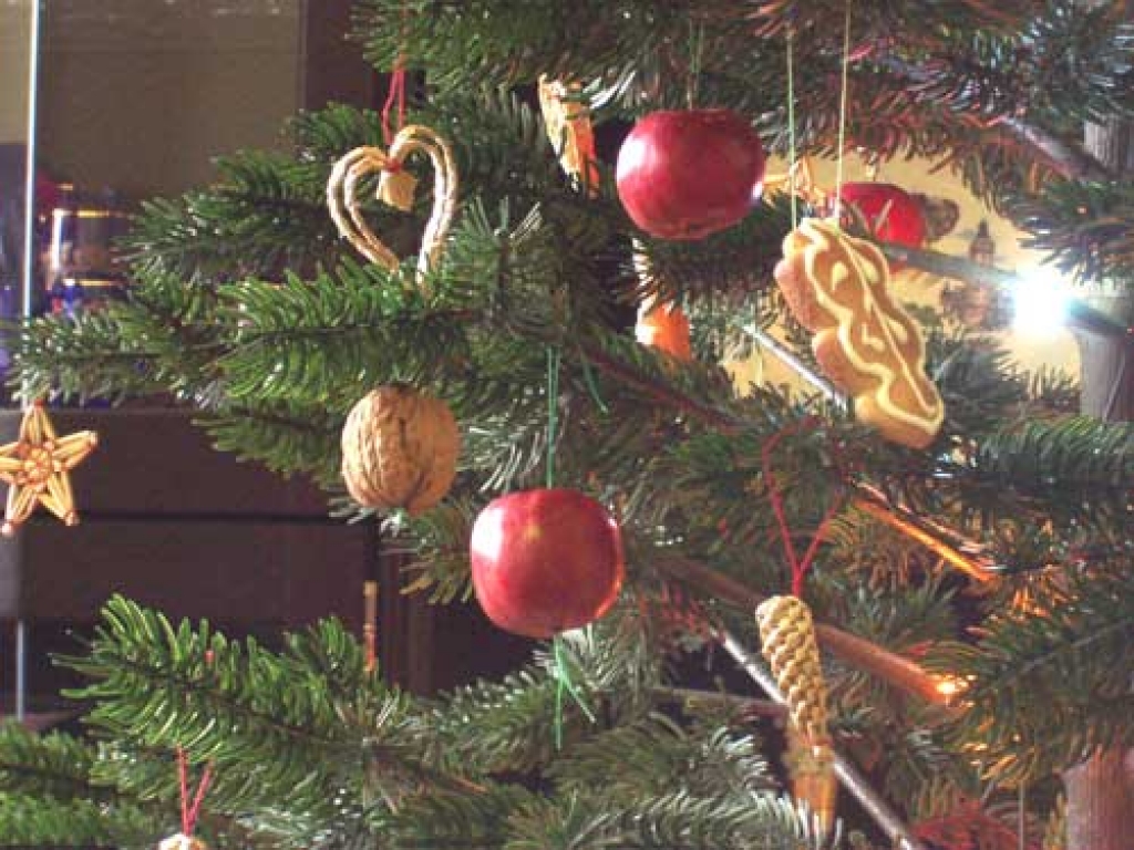 Autors: www.gslovakia.com