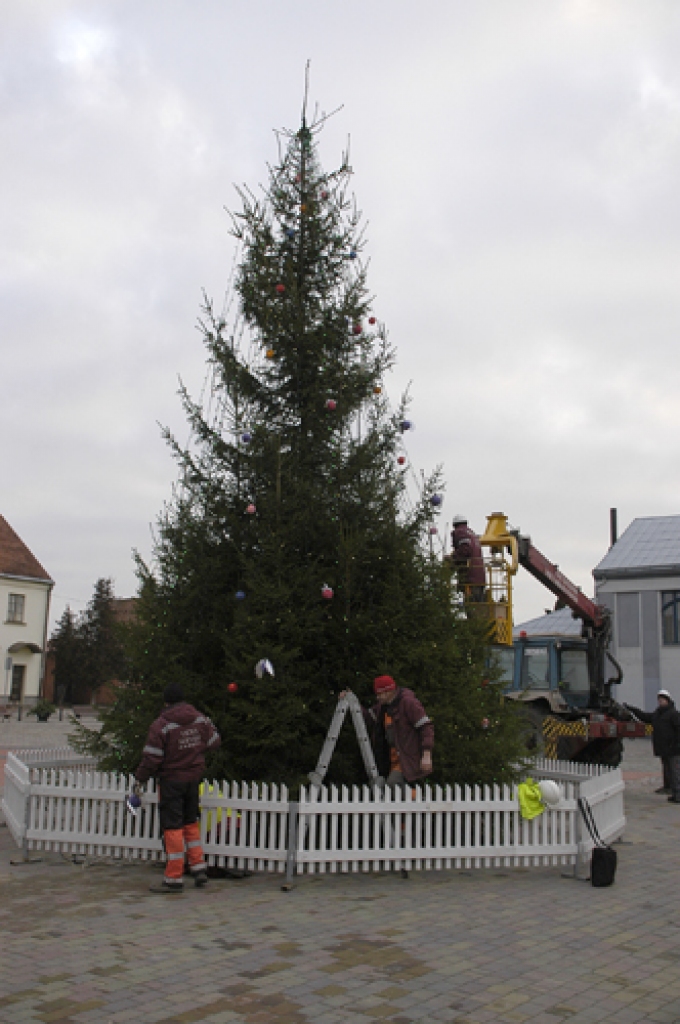 Piektdien, 4. decembrī, SIA «Vides serviss» strādnieki steidza kārt rotājumus pilsētas centrālajā svētku eglē Rātslaukumā.
Autors: Ivars Bogdanovs