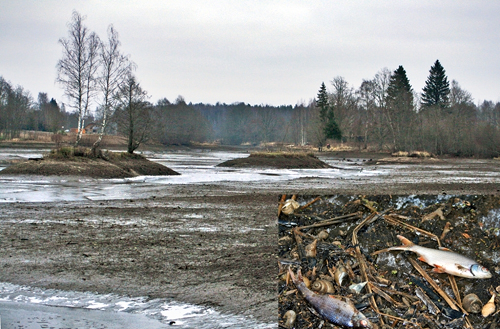 Vecumnieku ezers nosusināts, zivis nobeigušās.