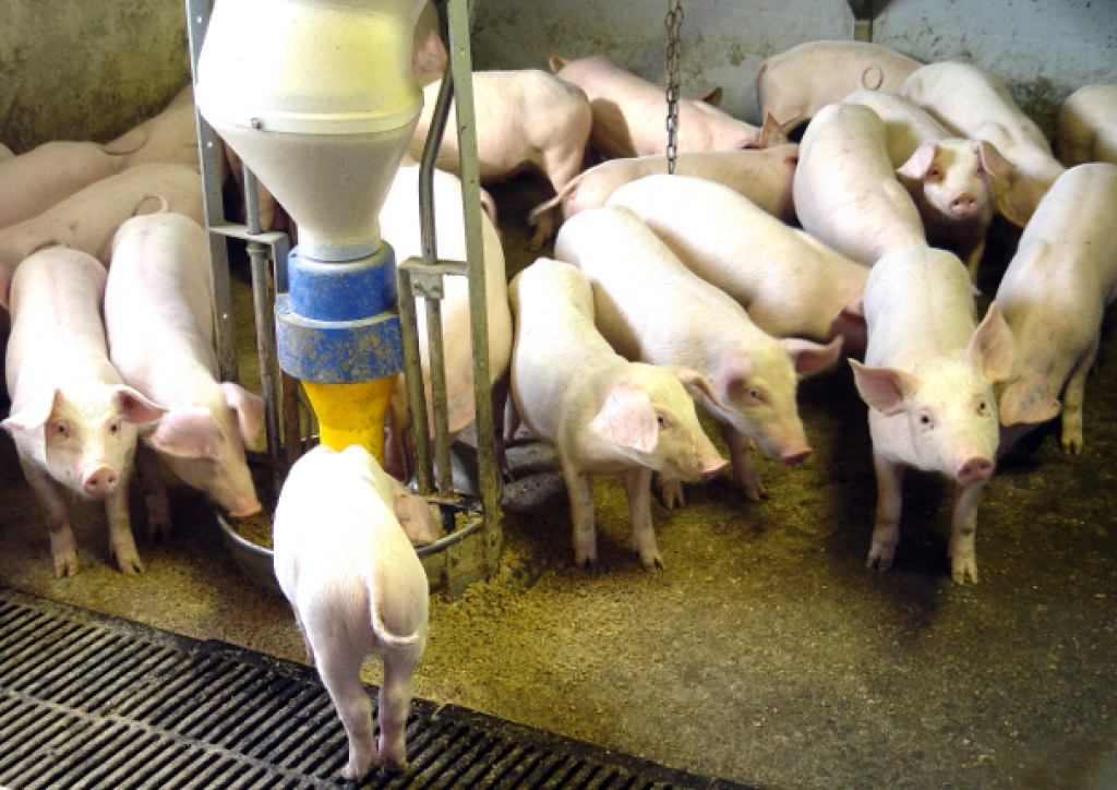 Fotoattēlam ilustratīva nozīme.
Autors: www.liepajniekiem.lv