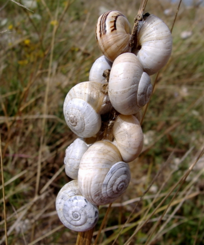 Autors: www.flickr.com