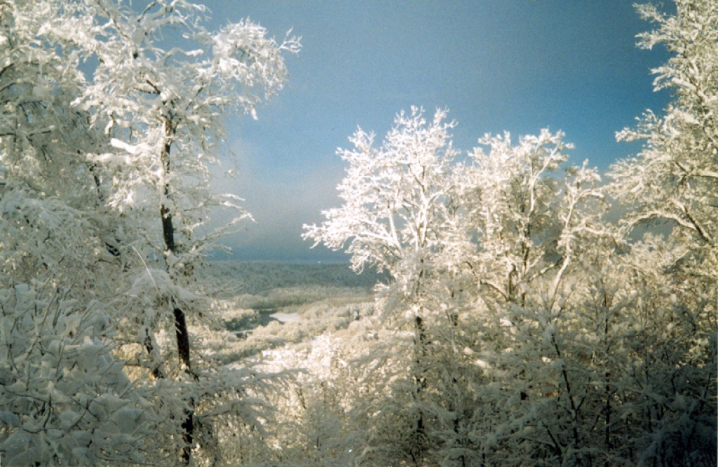 Fotoattēlam ilustratīva nozīme.
Autors:  