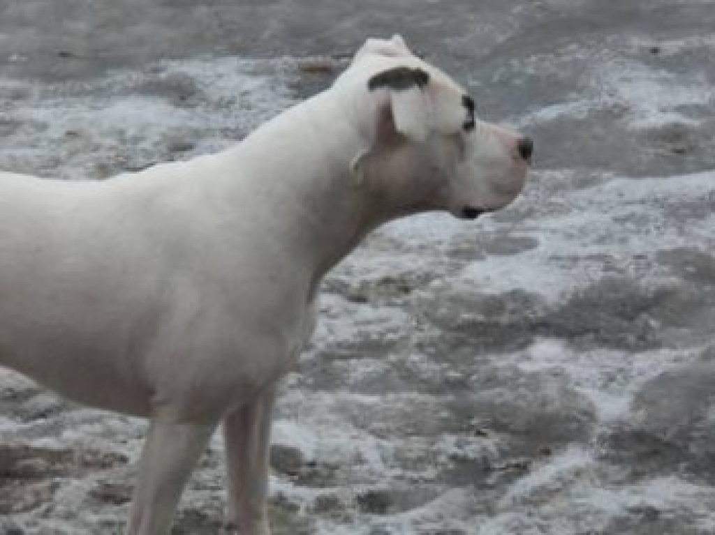 Fotoattēlam ilustratīva nozīme.