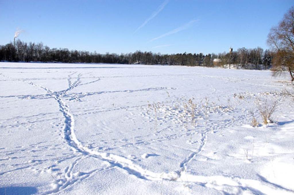 Jaunā ezera krastu labiekārtošanai jau ir izstrādātas ideju skices.
Autors: Ivars Bogdanovs