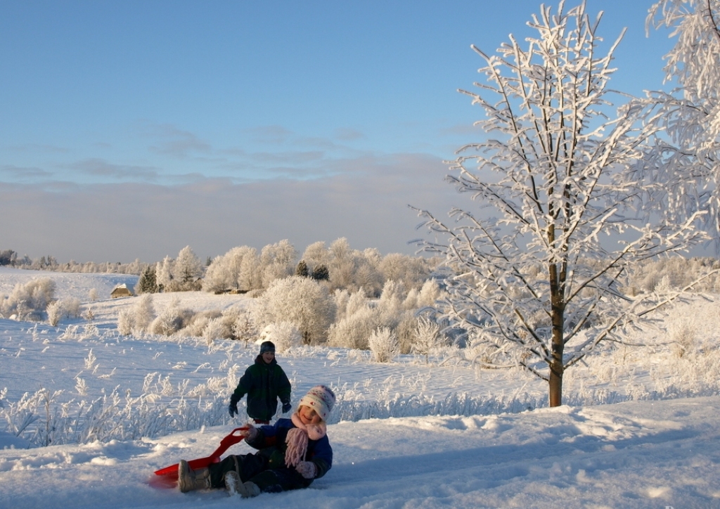 Fotoattēlam ilustratīva nozīme.
Autors: www.edruva.lv