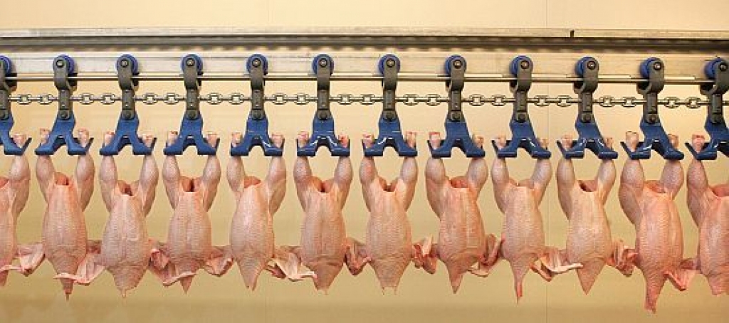 Autors: Uldis Briedis, diena.lv